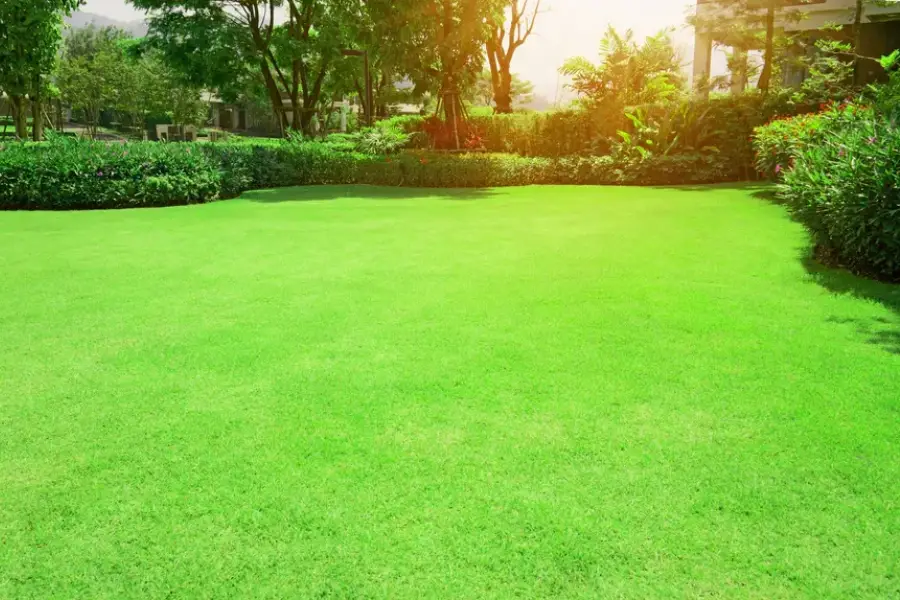 Choosing The Right Maintenance Schedule For Lawns Moore Haven, FL