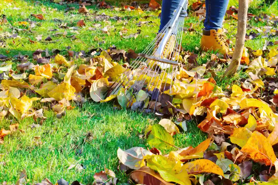 Common Yard Maintenance Tasks For Healthy Landscaping Moore Haven, FL Common Yard Maintenance Tasks For Healthy Landscaping Moore Haven, FL