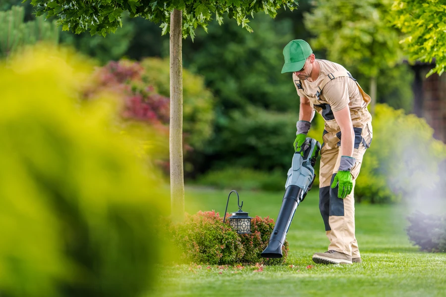 Common Yard Maintenance Tasks For Healthy Landscaping in Moore Haven, FL Common Yard Maintenance Tasks For Healthy Landscaping in Moore Haven, FL
