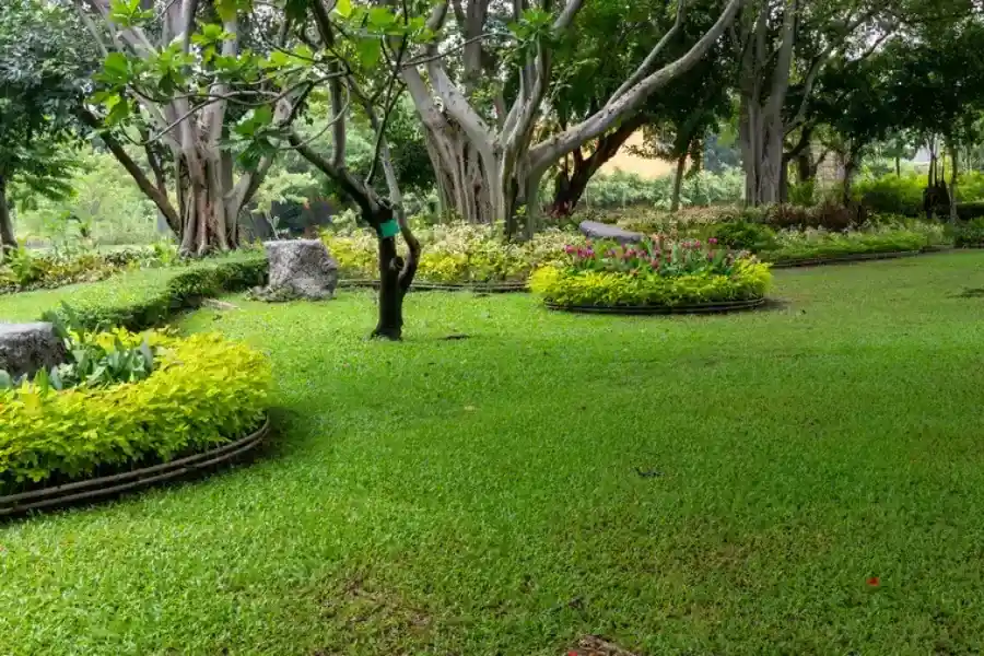 Excellent Landscape Maintenance Moore Haven, FL Excellent Landscape Maintenance Moore Haven, FL