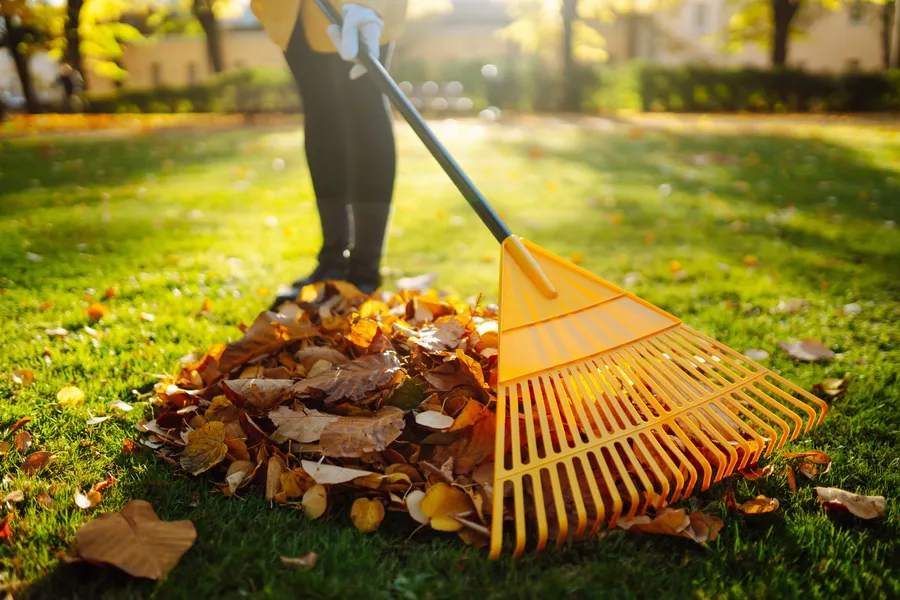 Expert Yard Maintenance Moore Haven, FL