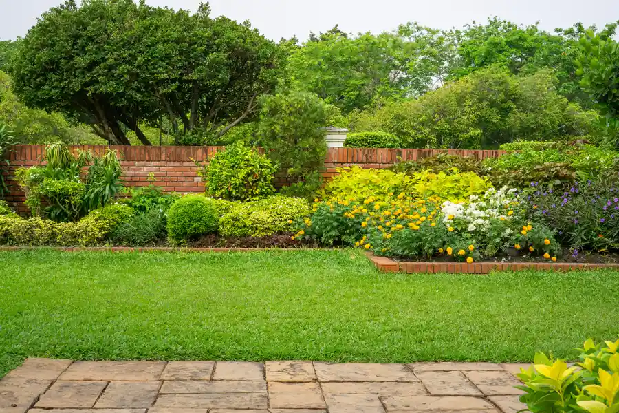 How To Create Privacy And Shade With Backyard Landscaping Moore Haven, FL