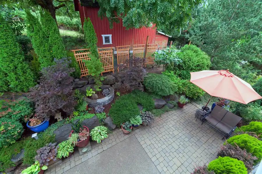 How To Create Privacy And Shade With Backyard Landscaping in Moore Haven, FL