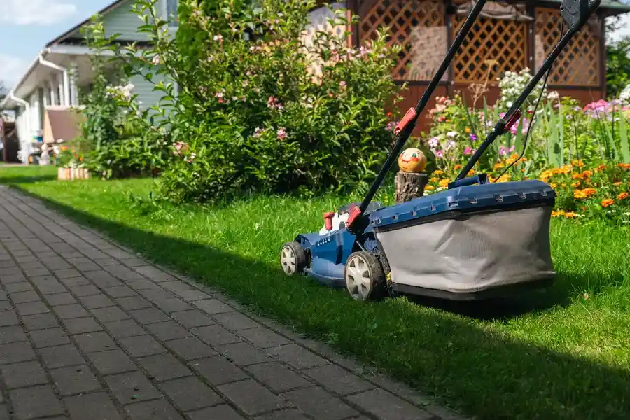 Local Landscape Maintenance Moore Haven, FL Local Landscape Maintenance Moore Haven, FL