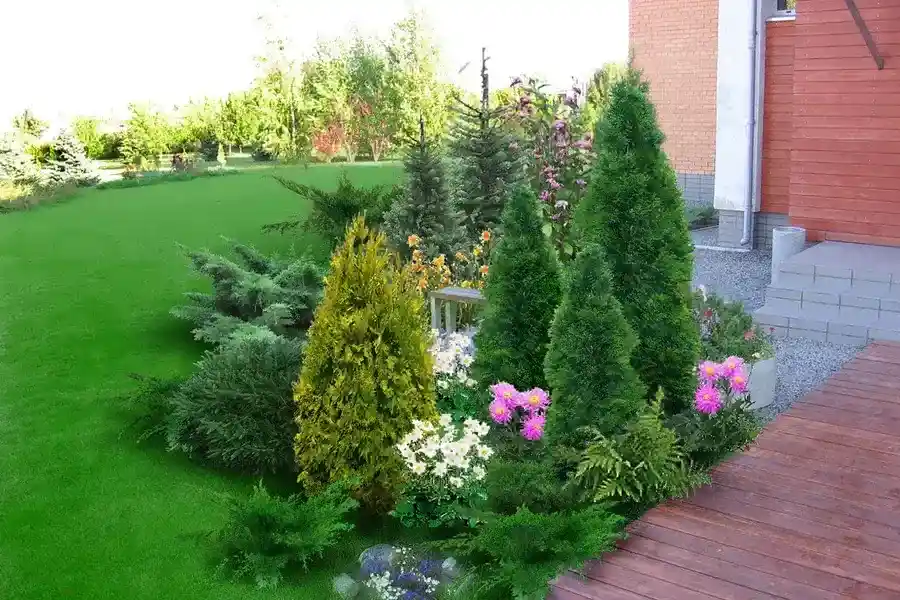 Professional Backyard Landscaping Moore Haven, FL Professional Backyard Landscaping Moore Haven, FL