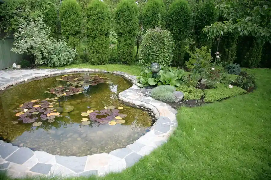 Reputable Backyard Landscaping Moore Haven, FL Reputable Backyard Landscaping Moore Haven, FL