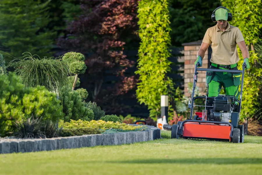 The Benefits Of Professional Yard Maintenance Services Moore Haven, FL