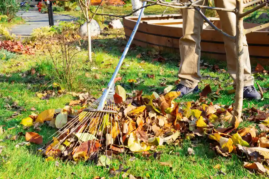 The Benefits Of Professional Yard Maintenance Services in Moore Haven, FL