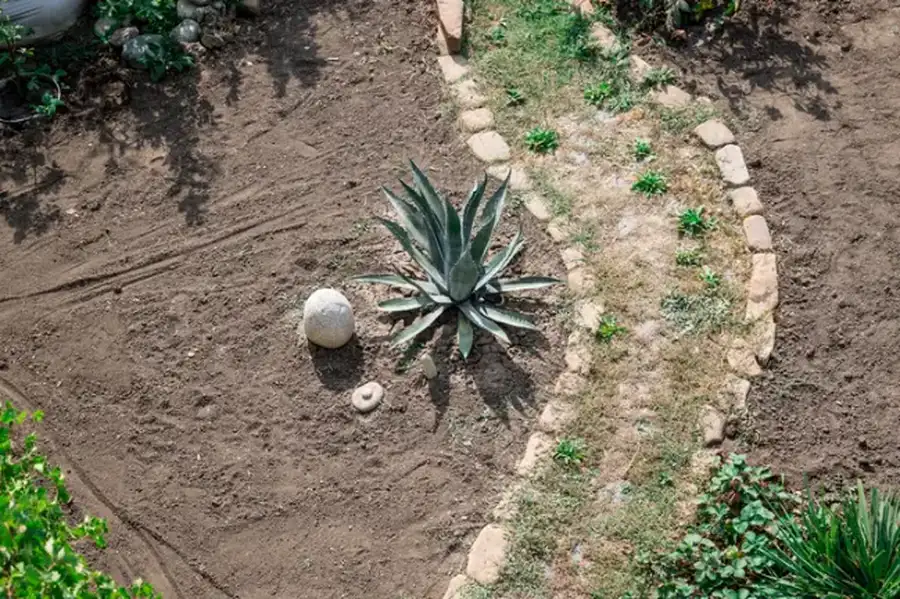 The Role Of Irrigation Systems In Landscape Installation Moore Haven, FL