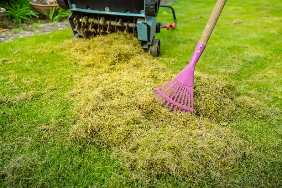 Top-rated Yard Maintenance Moore Haven, FL